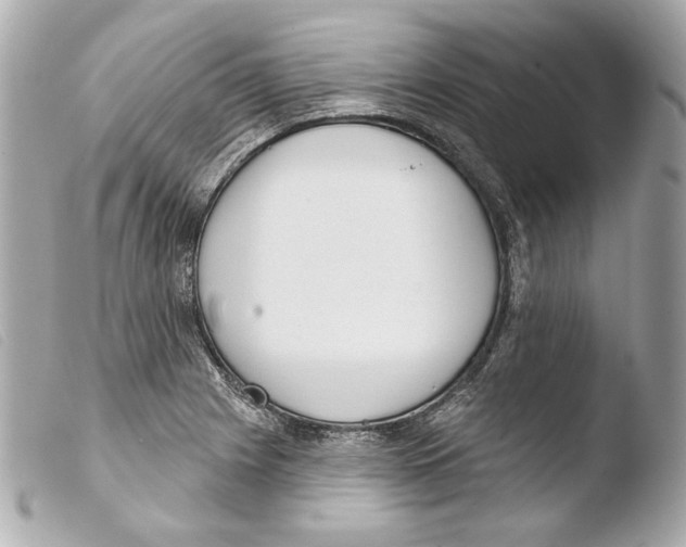 X0000103491225200810101014