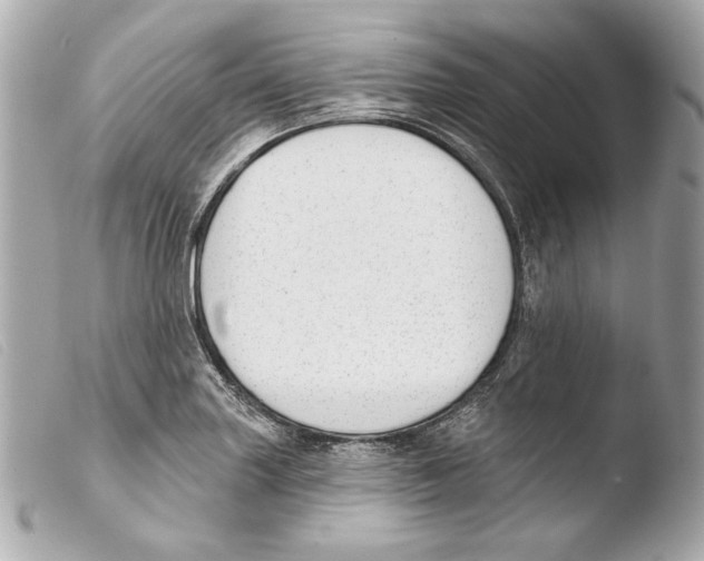 X0000103491227200810101015