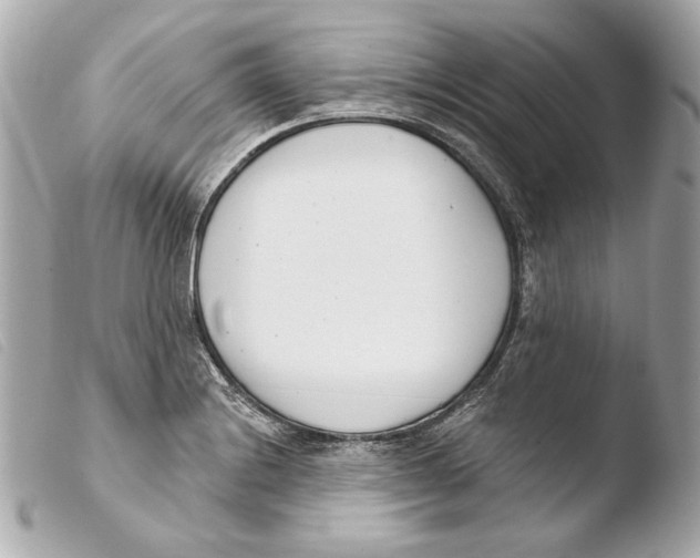 X0000103491228200810101015