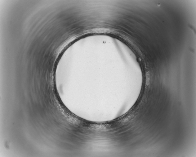 X0000103491229200810101015