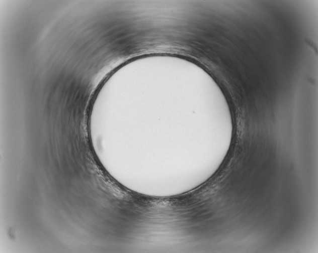 X0000103491230200810101015