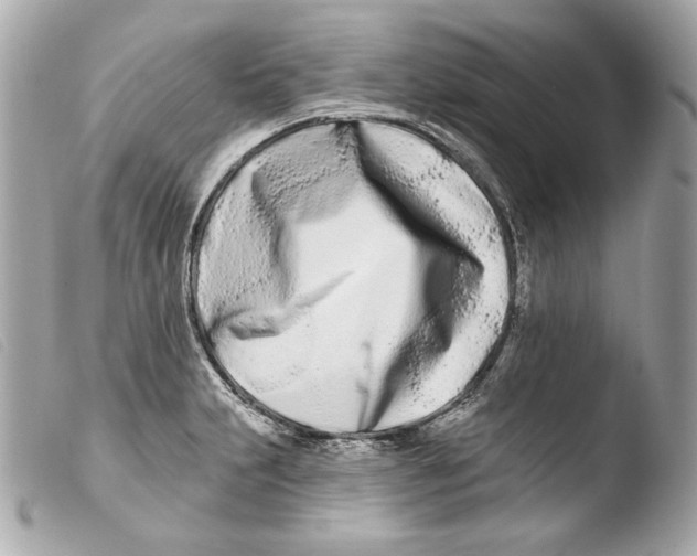 X0000103491231200810101015