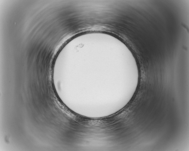 X0000103491232200810101015