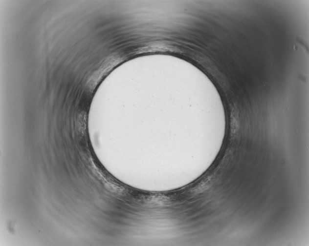 X0000103491233200810101015