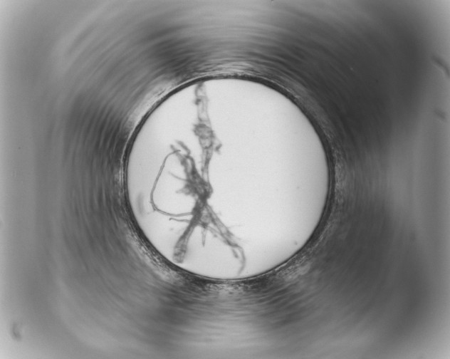 X0000103491234200810101015