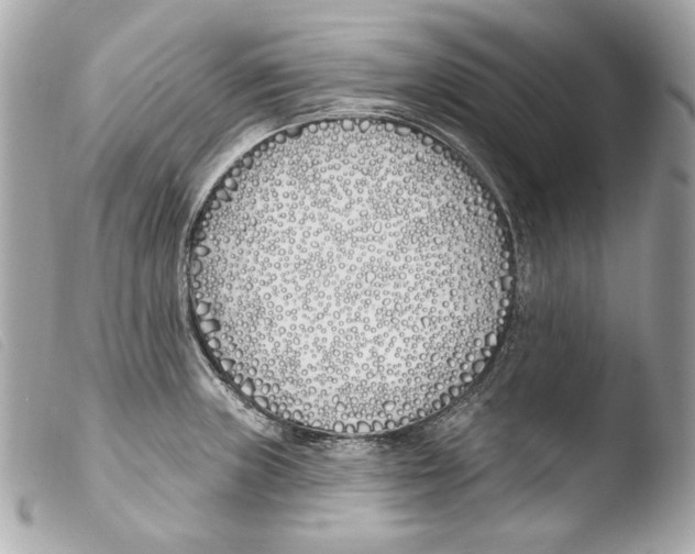 X0000103491235200810101015