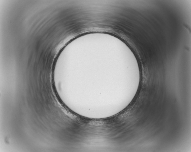 X0000103491237200810101015