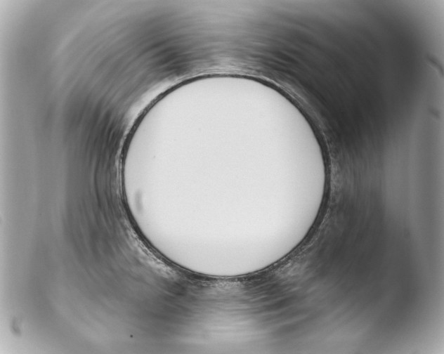 X0000103491238200810101015