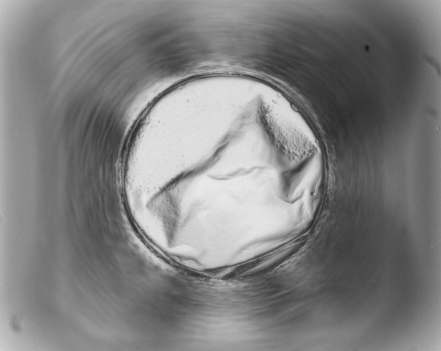 X0000103491239200810101015