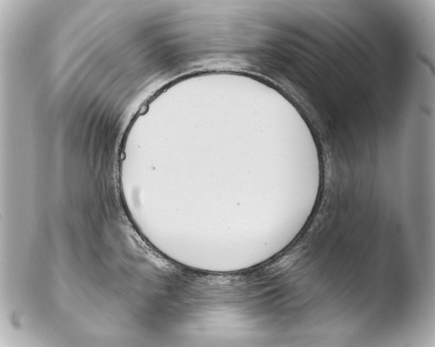 X0000103491240200810101015