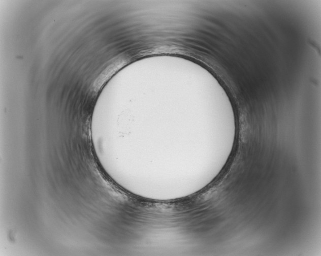 X0000103491241200810101015