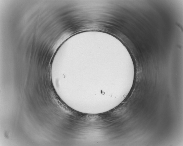 X0000103491242200810101015