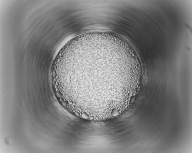 X0000103491243200810101015