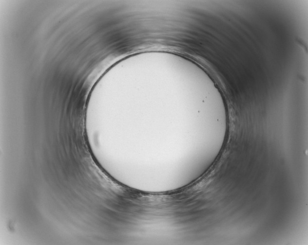 X0000103491244200810101015