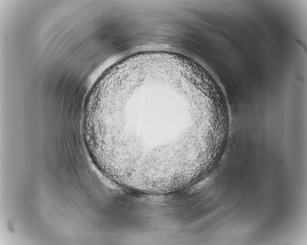 X0000103491245200810101015