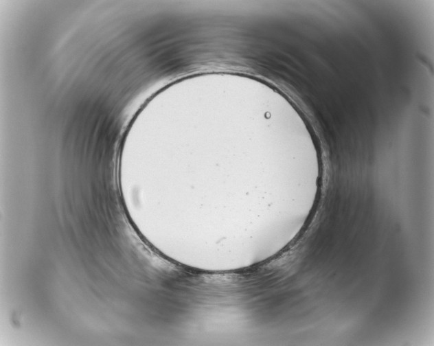 X0000103491246200810101015