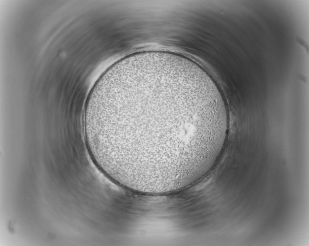 X0000103491247200810101015