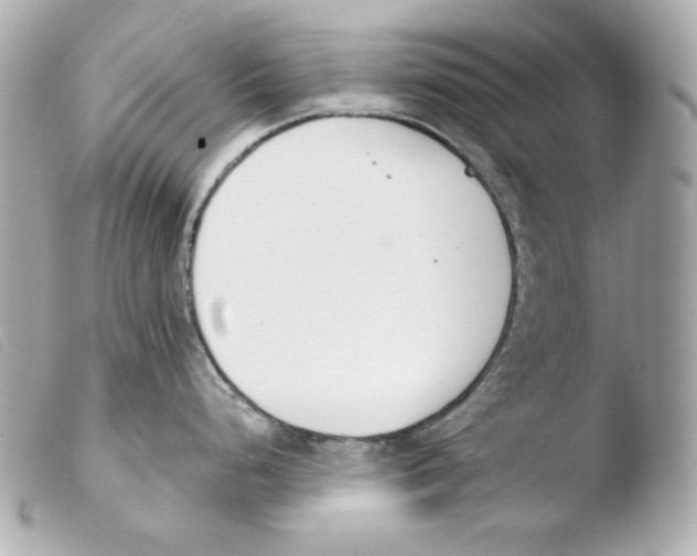 X0000103491248200810101015