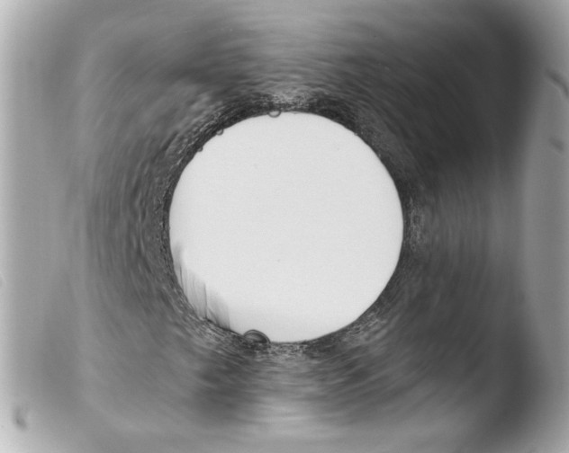 X0000103491249200810101014