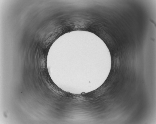 X0000103491250200810101014