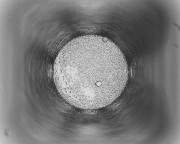 X0000103491251200810101014