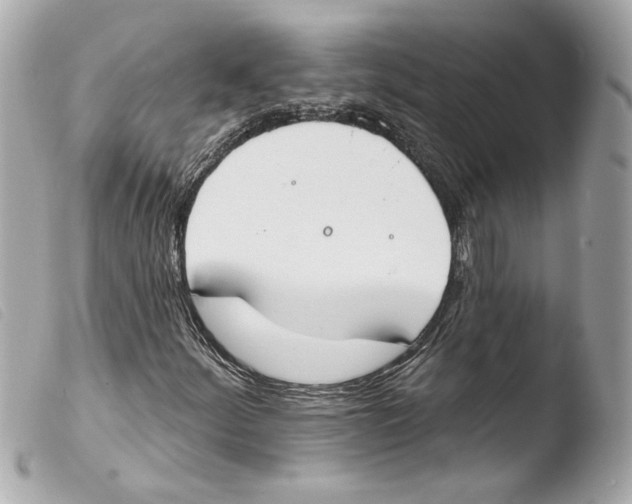 X0000103491252200810101014