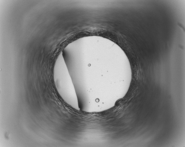 X0000103491253200810101014