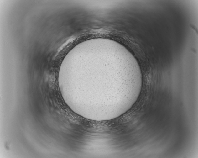 X0000103491254200810101014