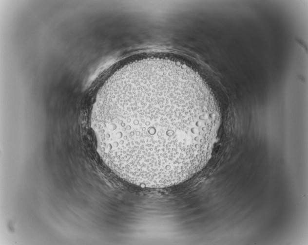 X0000103491255200810101014