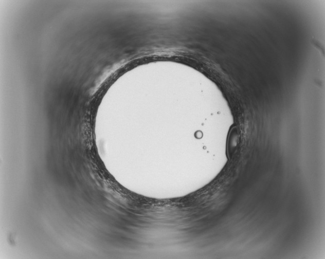 X0000103491256200810101014