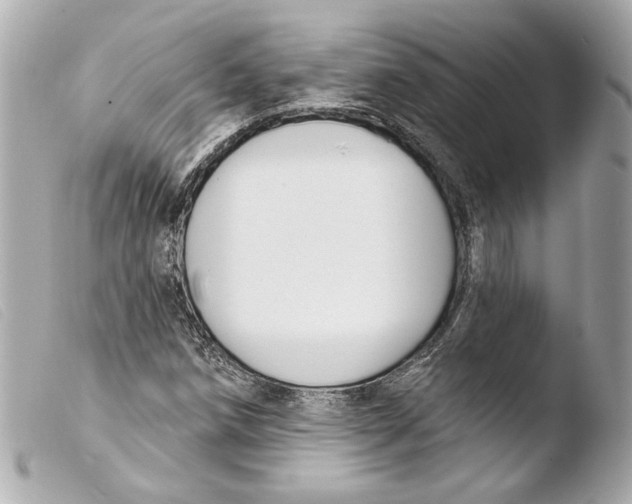 X0000103491258200810101014