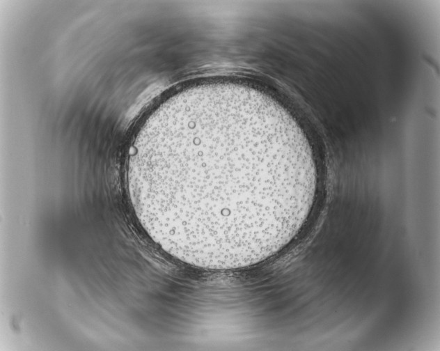 X0000103491259200810101014