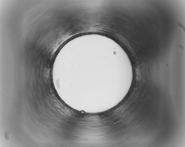 X0000103491260200810101014