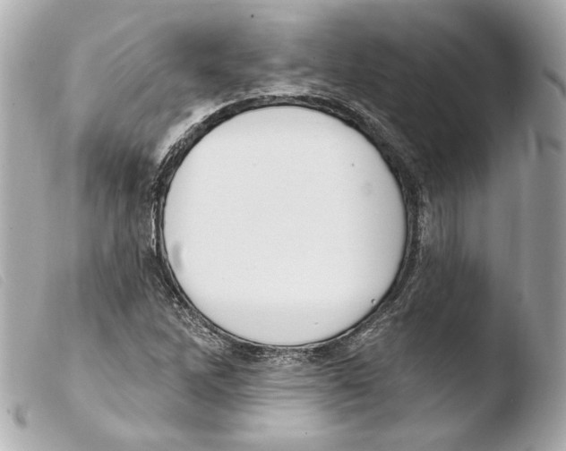 X0000103491262200810101014