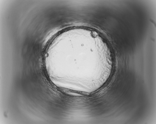 X0000103491263200810101014