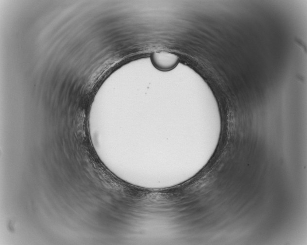 X0000103491265200810101014