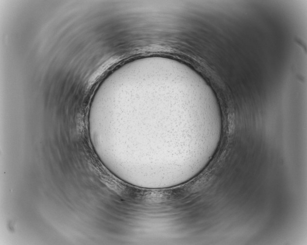 X0000103491266200810101014