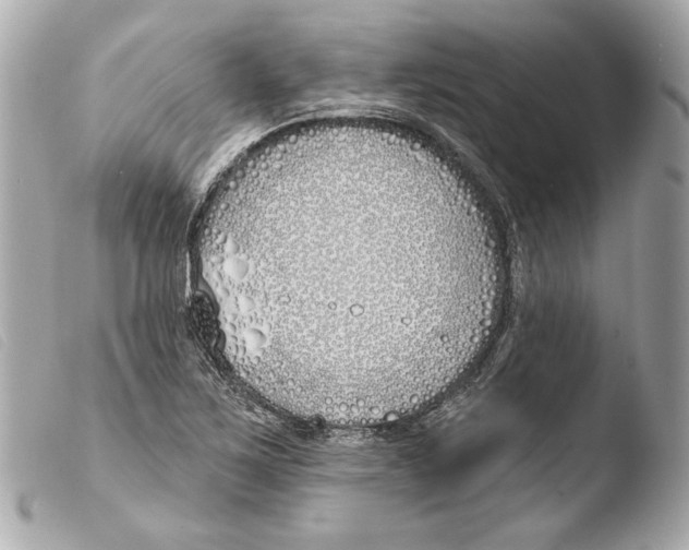 X0000103491267200810101014