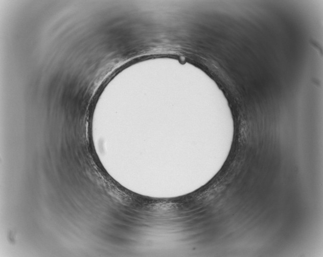 X0000103491268200810101014