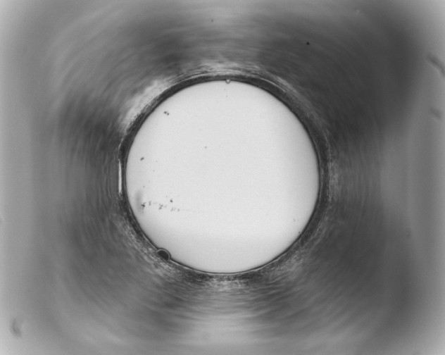 X0000103491269200810101014