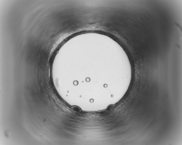 X0000103491270200810101014