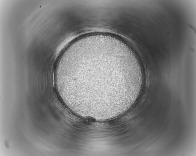 X0000103491271200810101014