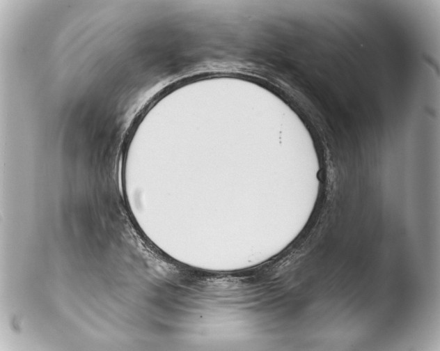 X0000103491272200810101014