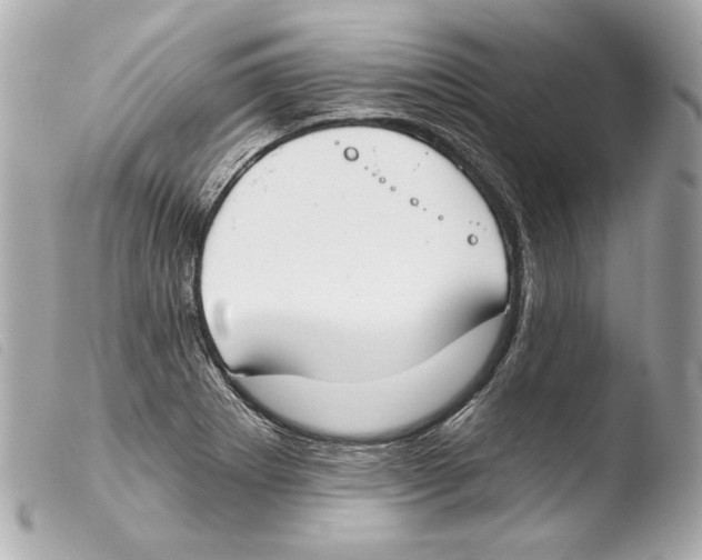 X0000103491273200810101014