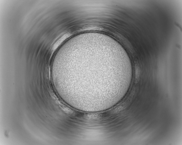 X0000103491274200810101014