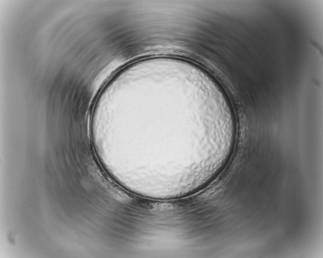 X0000103491275200810101014