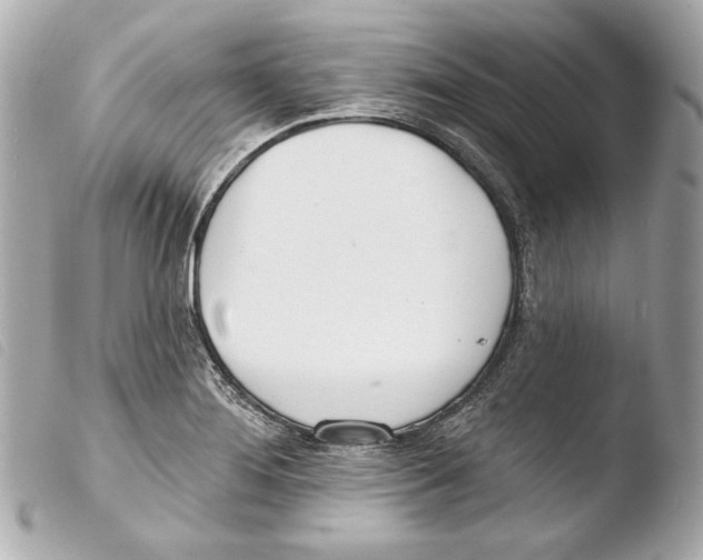 X0000103491276200810101014