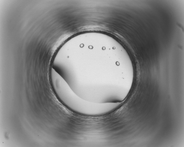 X0000103491277200810101014