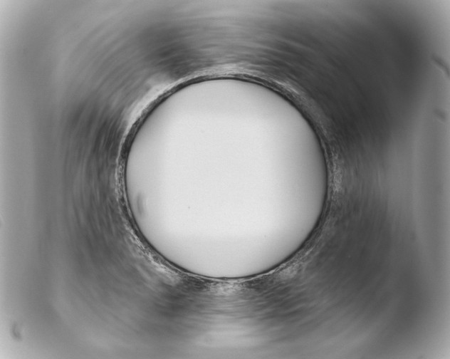 X0000103491278200810101014