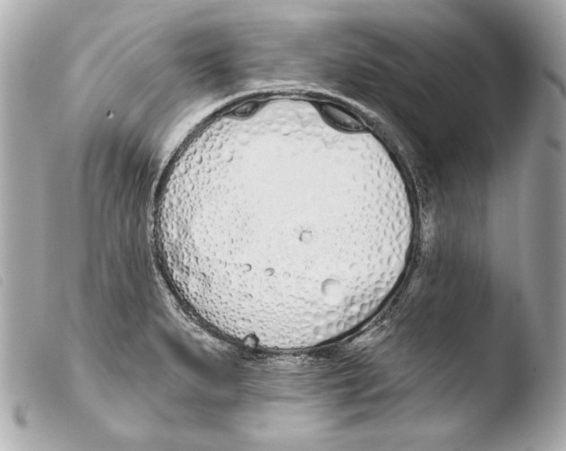 X0000103491279200810101014